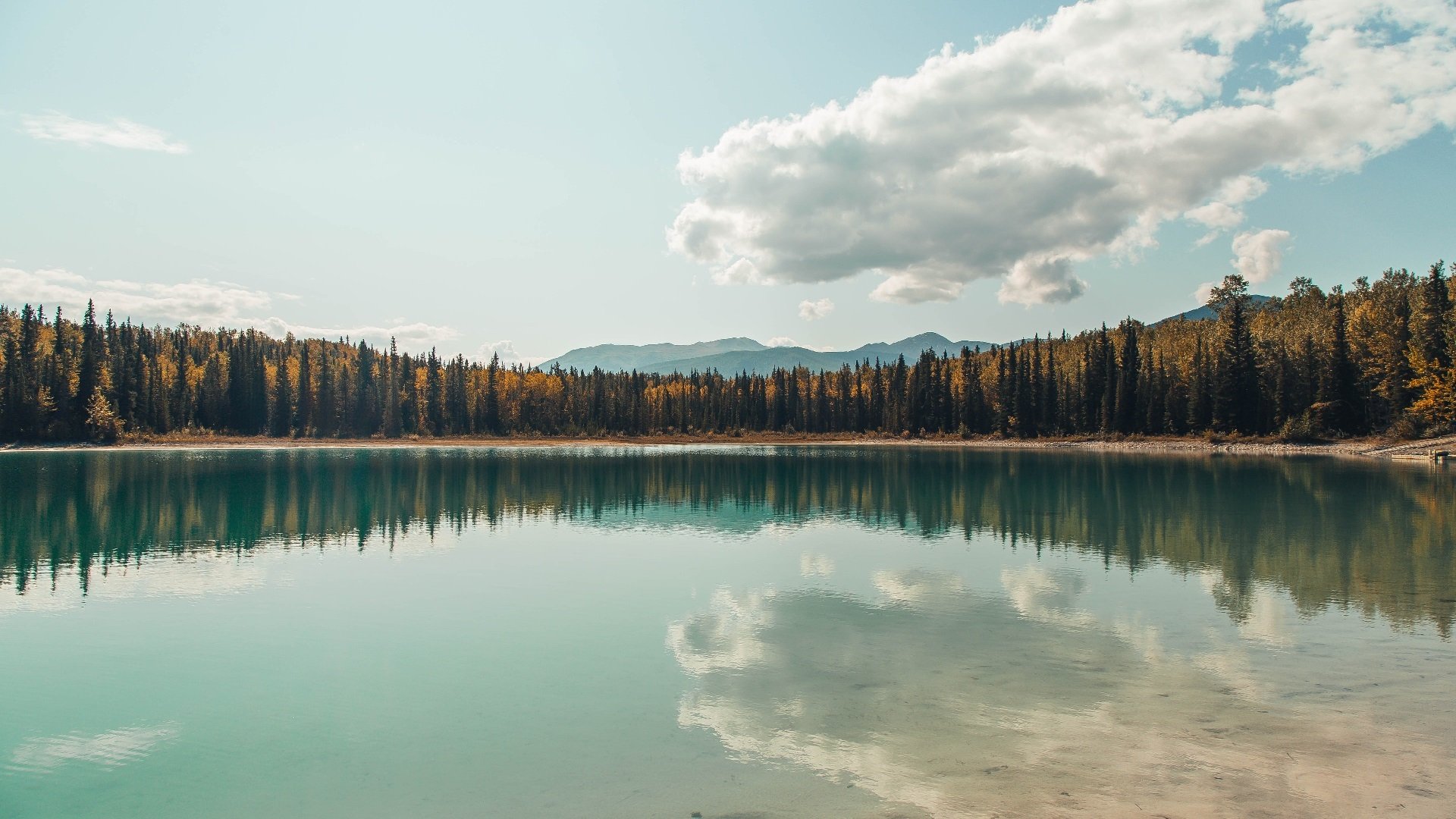 “全民健身 运动三秦”广场舞公益推广活动在陕西商洛成功举办，陕西省第三届全民健身运动会广场舞