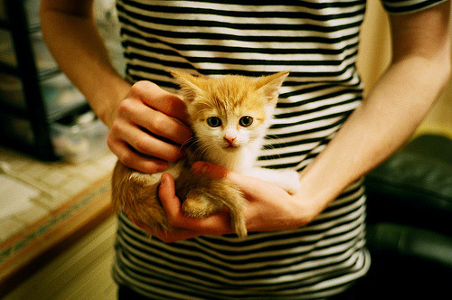 【水手队状态回暖】从连续失利到连胜五场，水手水手