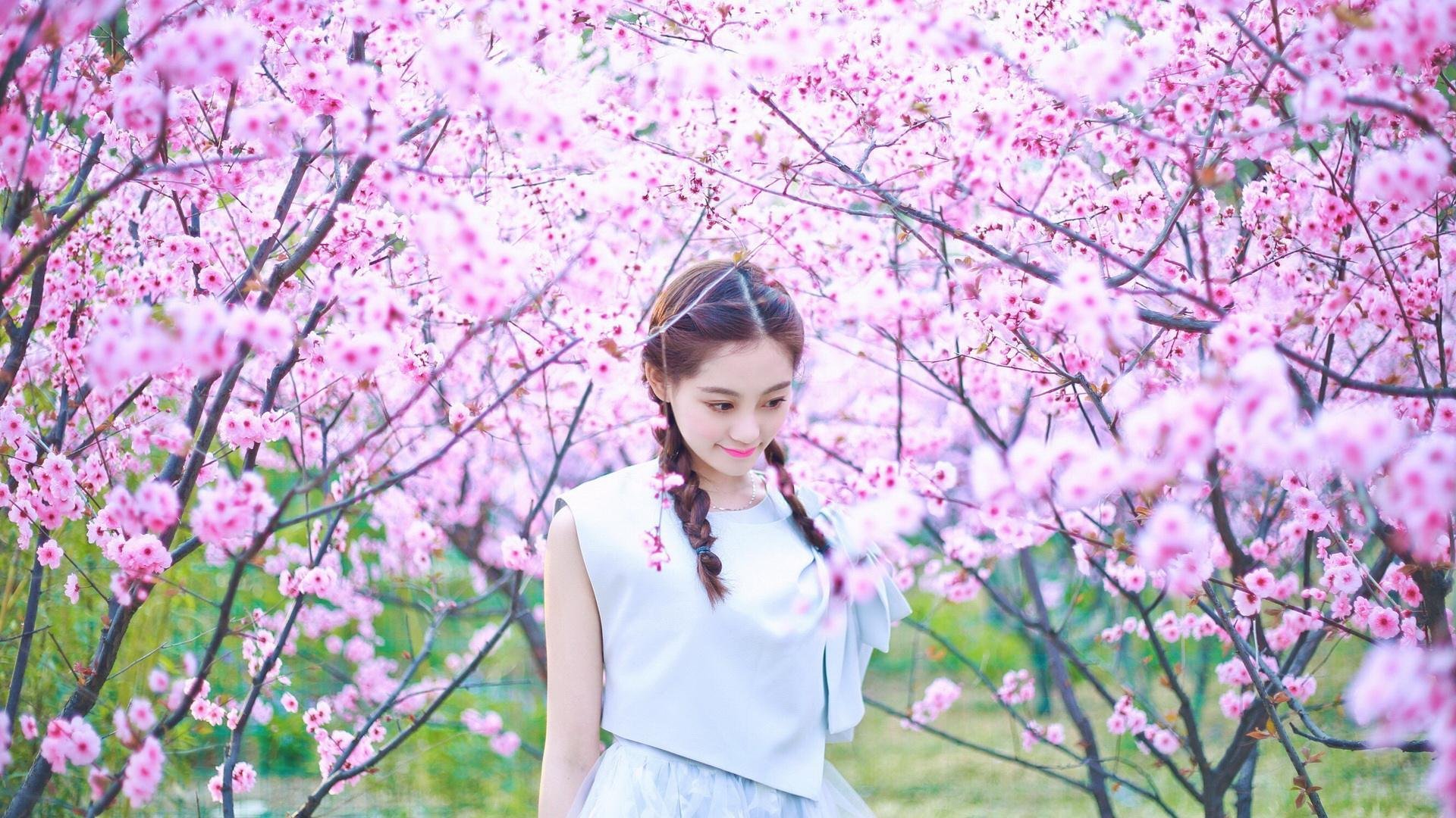 传统武术巡回表演，古老技艺展现新时代精神，武术演出